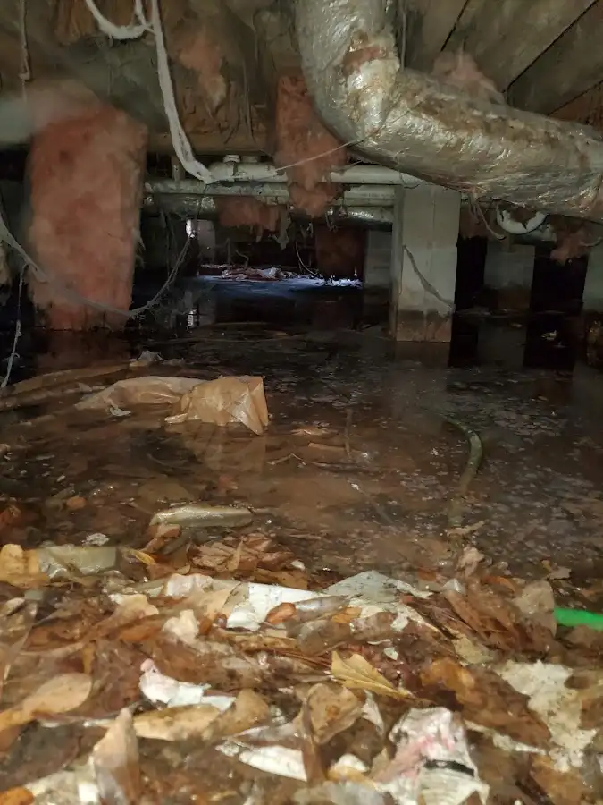 Crawl space flood assessment for Leak Detection & Repair in Kennewick